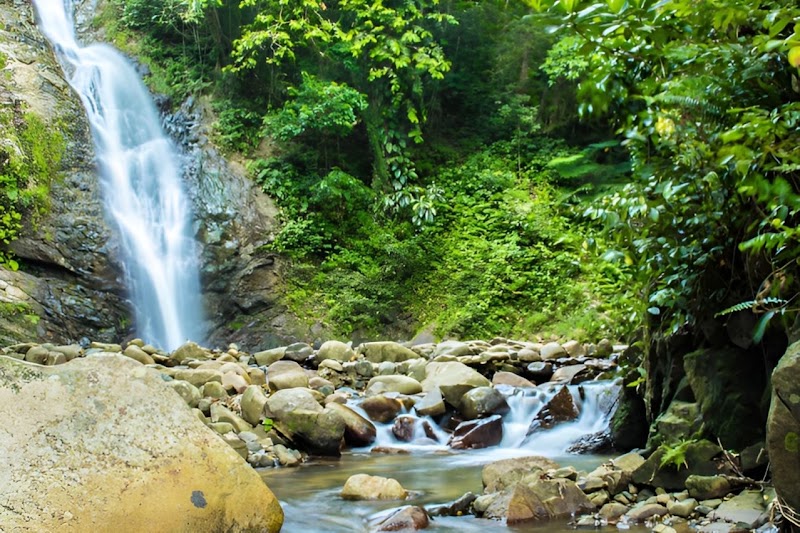 Photo 2 at Valentine Tours Fiji in Nadi