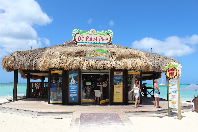 De Palm Pier in 