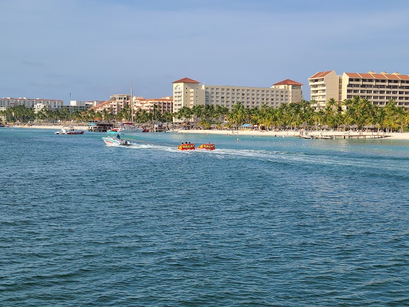 Photo 2 at De Palm Pier in 