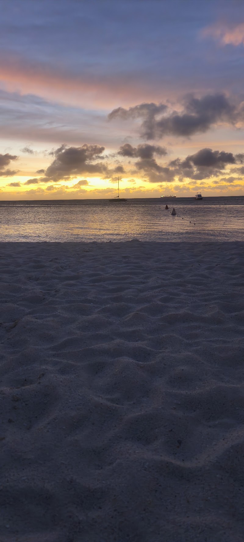 Photo 5 at De Palm Pier in 
