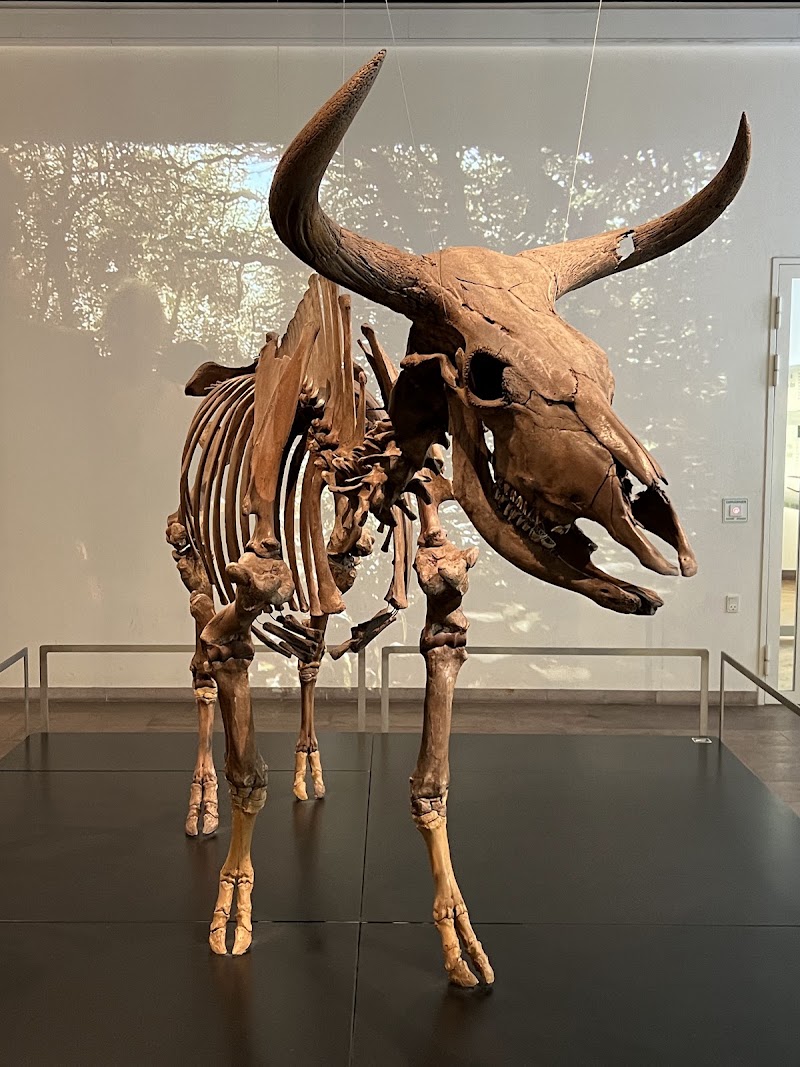 Photo 2 at National Museum of Denmark in København