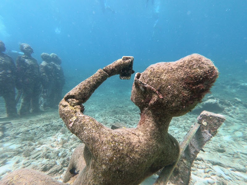 Photo 3 at Grenada Underwater Sculpture Park in The Lime
