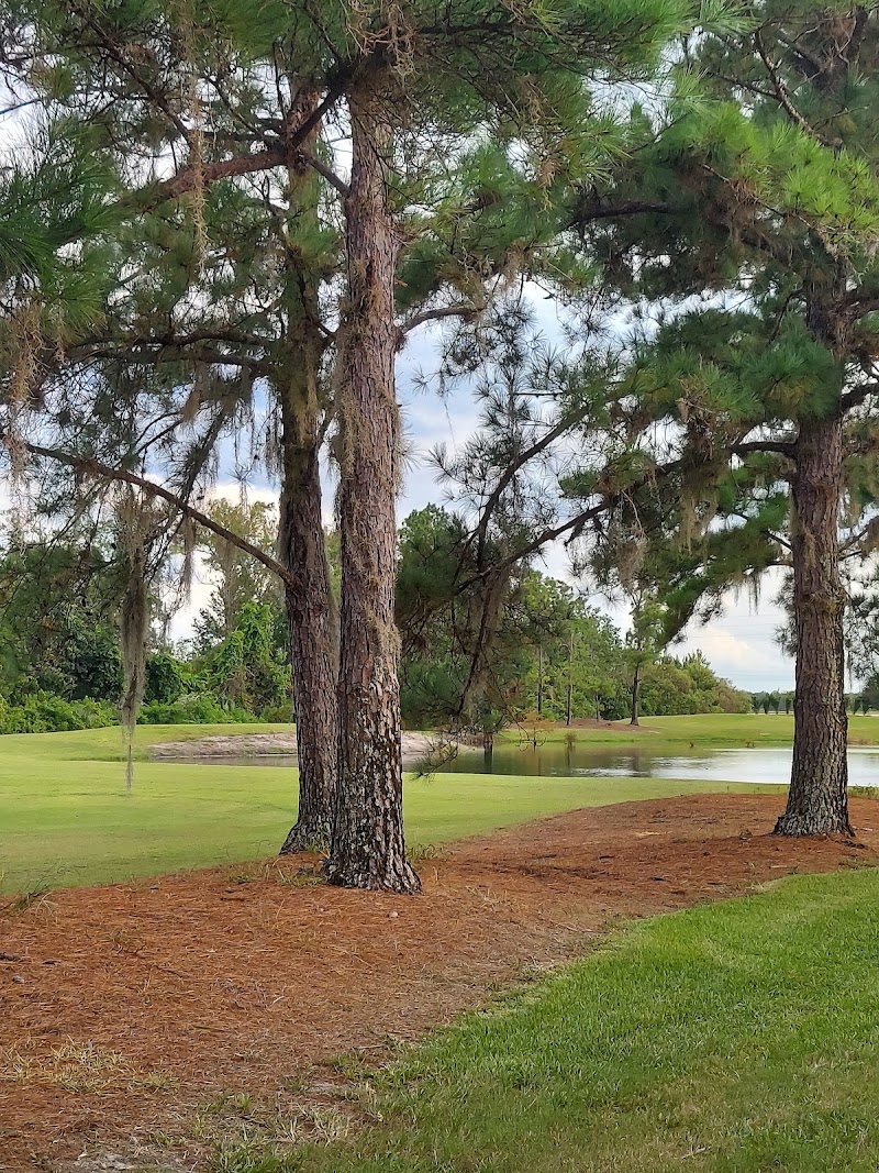 Photo 5 at Orange Lake Resort in Kissimmee