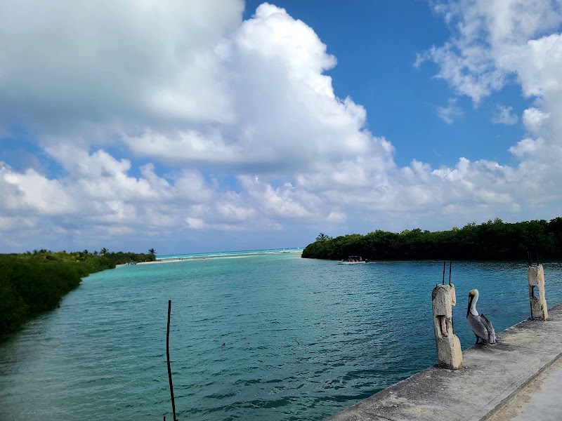 Photo 5 at Reserva de la Biósfera Sian Ka'an in 