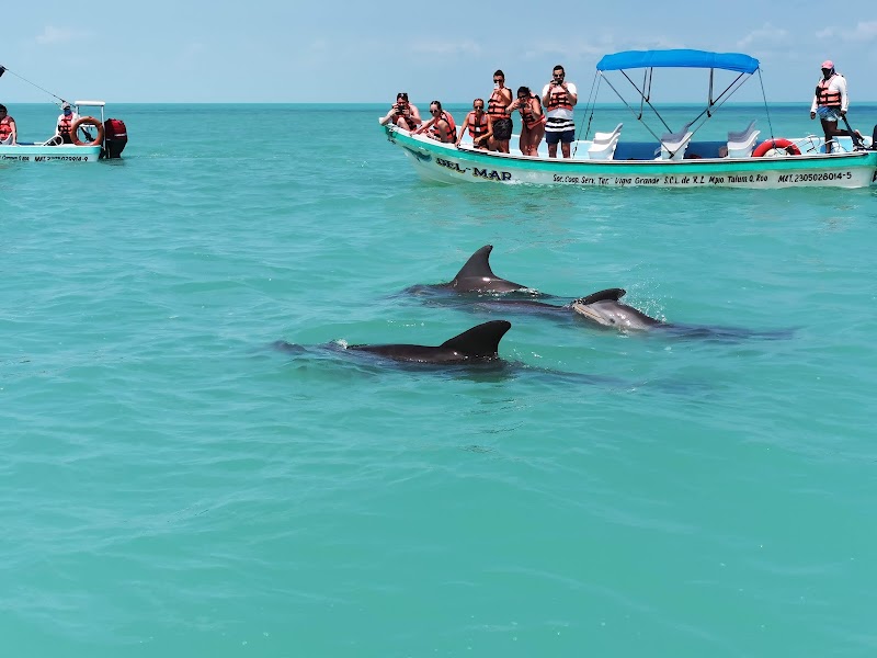 Photo 3 at Reserva de la Biósfera Sian Ka'an in 
