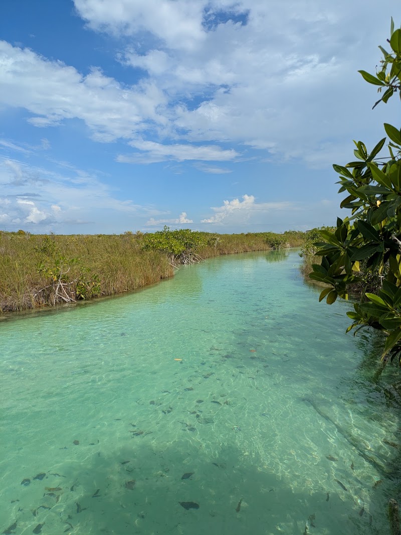 Reserva de la Biósfera Sian Ka'an in 