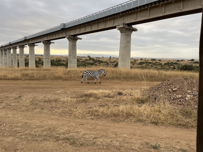 Photo 1 at Nairobi National Park in Nairobi