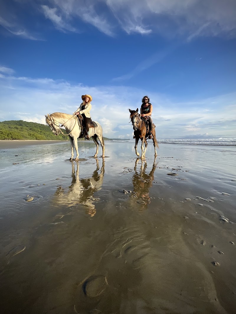 Photo 1 at Big Sky Stables, Nicaragua in Escamequita