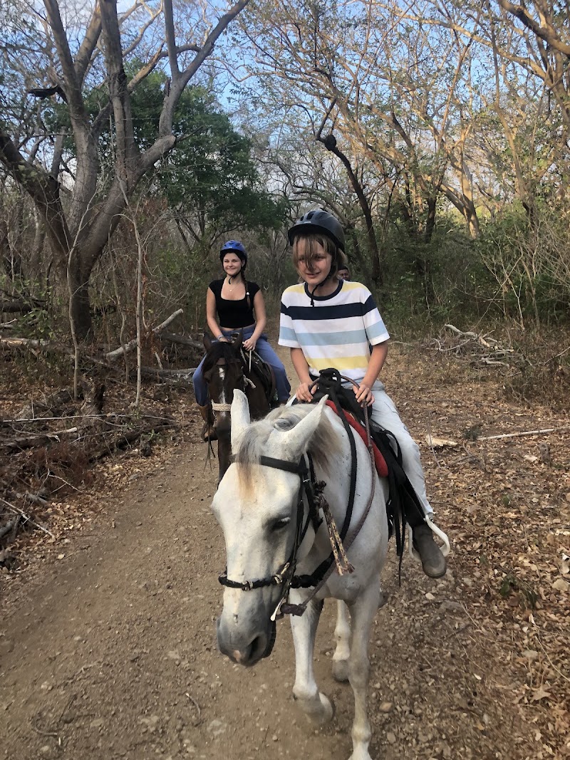 Photo 2 at Big Sky Stables, Nicaragua in Escamequita