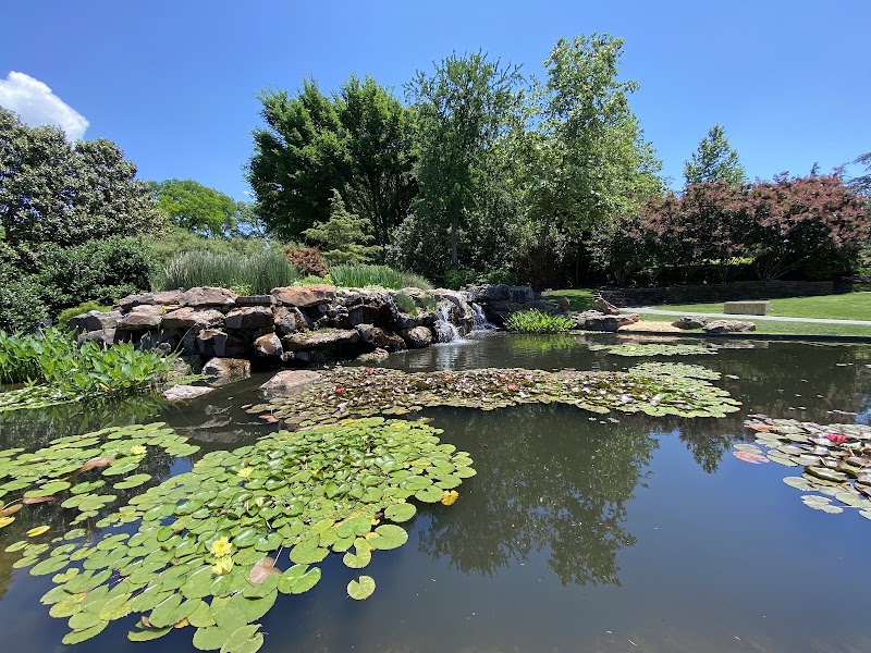 Photo 6 at The Dallas Arboretum and Botanical Garden in Dallas