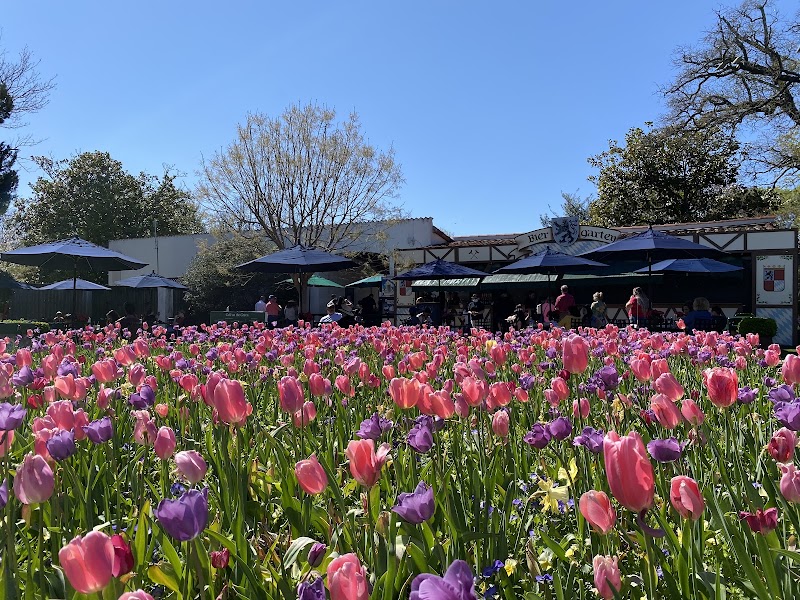 Photo 5 at The Dallas Arboretum and Botanical Garden in Dallas