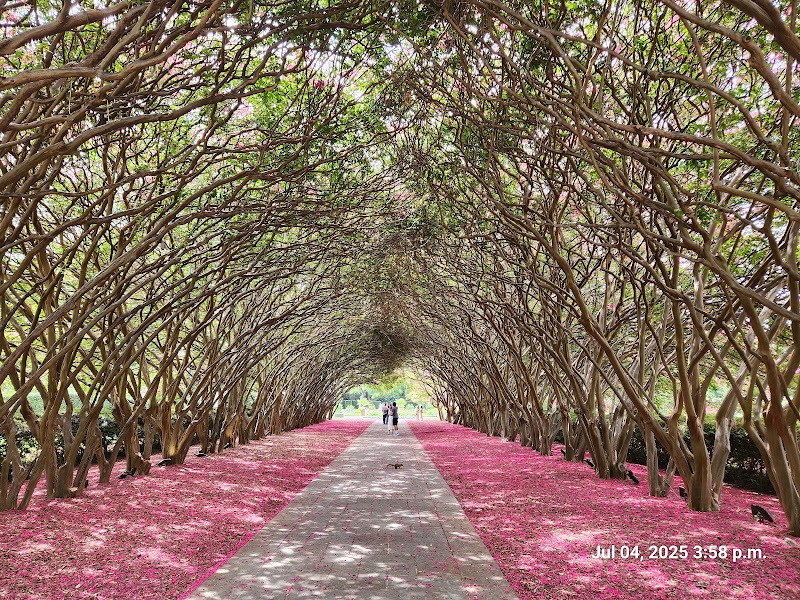 The Dallas Arboretum and Botanical Garden in Dallas