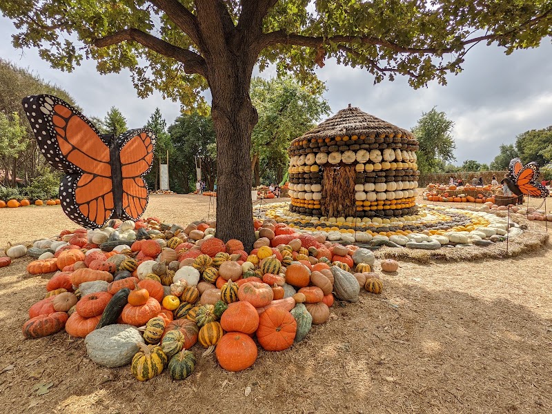 Photo 1 at The Dallas Arboretum and Botanical Garden in Dallas