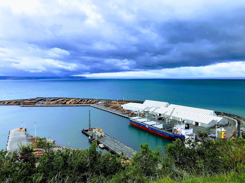 Photo 4 at Bluff Hill Lookout in Napier