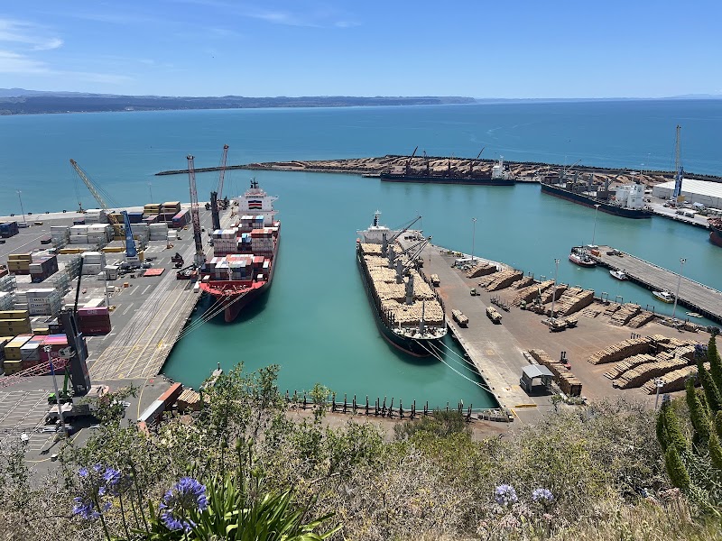 Photo 1 at Bluff Hill Lookout in Napier