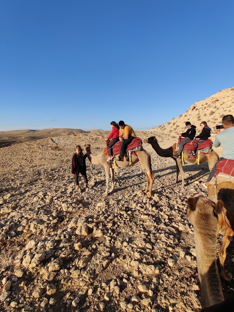 Photo 6 at Mamshit National Park in Dimona