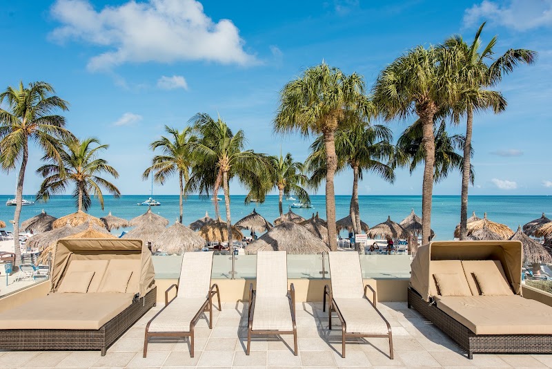 Photo 3 at Playa Linda Beach Resort in Noord