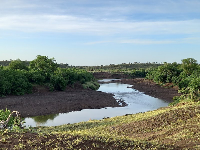 Photo 6 at Mashatu Game Reserve in Pont Drift