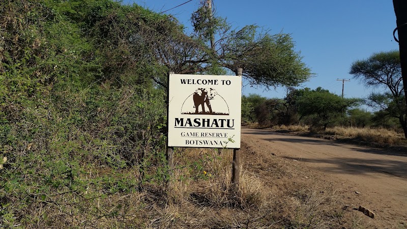 Photo 5 at Mashatu Game Reserve in Pont Drift