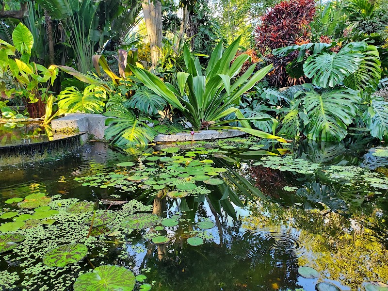Photo 2 at The Kampong, National Tropical Botanical Garden in Miami