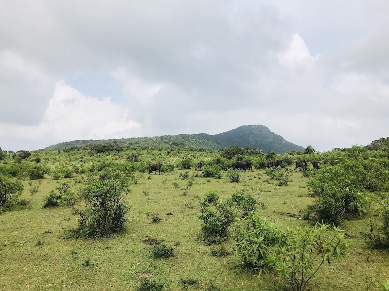 Photo 2 at Pitawala Pathana, Riverston in 