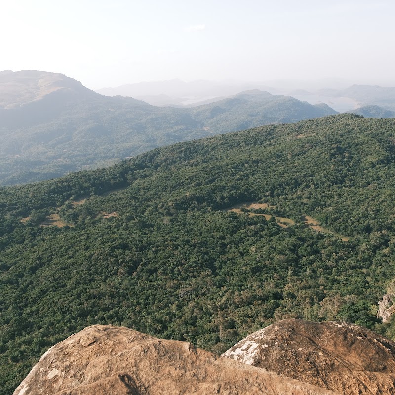 Photo 5 at Pitawala Pathana, Riverston in 