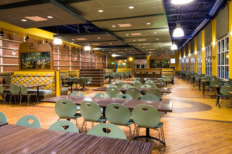 Photo 5 at Disney's All-Star Music Resort in Lake Buena Vista