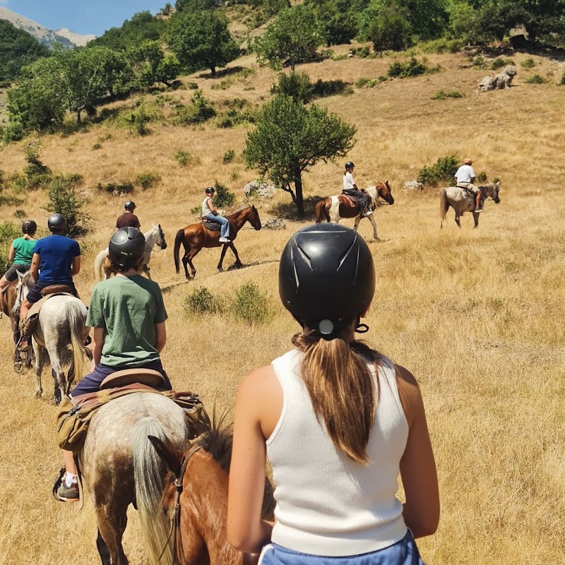 Photo 2 at Funky Adventures (horse riding, rafting, 4x4 tours, quad bikes ATV) in Permet