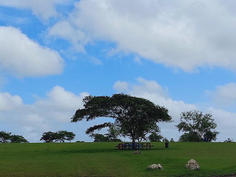 Photo 1 at National Botanical Gardens in Bridgetown