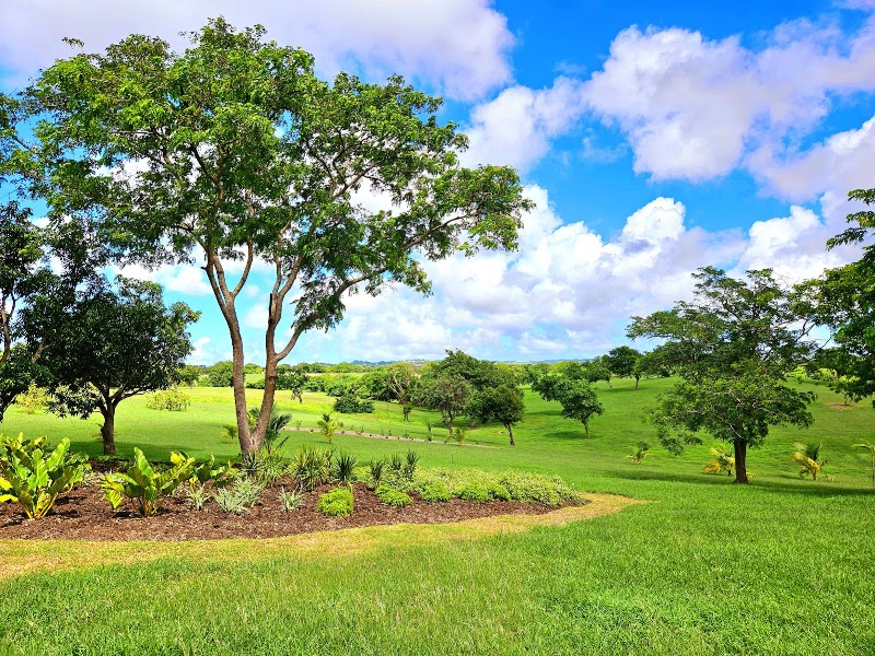National Botanical Gardens in Bridgetown