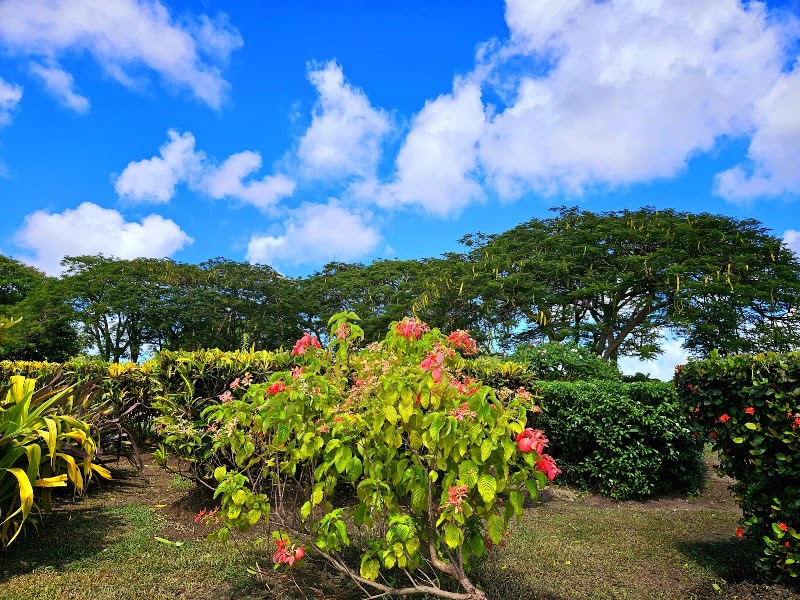 Photo 5 at National Botanical Gardens in Bridgetown