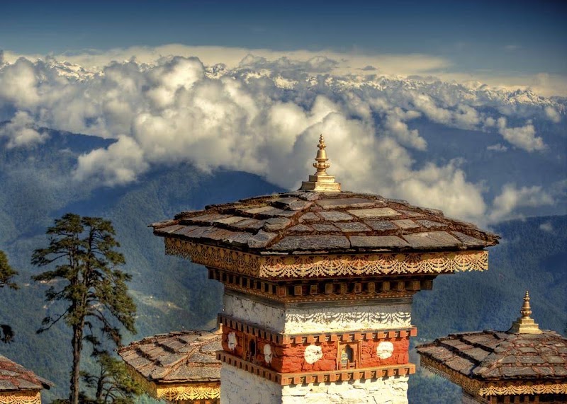 Photo 5 at Jigme Dorji National Park in Gasa