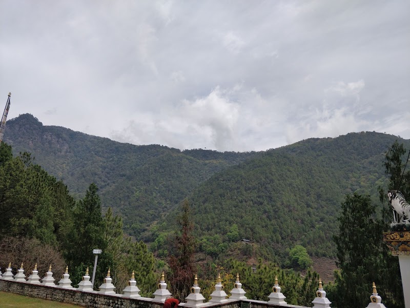 Photo 6 at Jigme Dorji National Park in Gasa