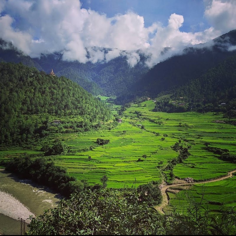 Jigme Dorji National Park in Gasa