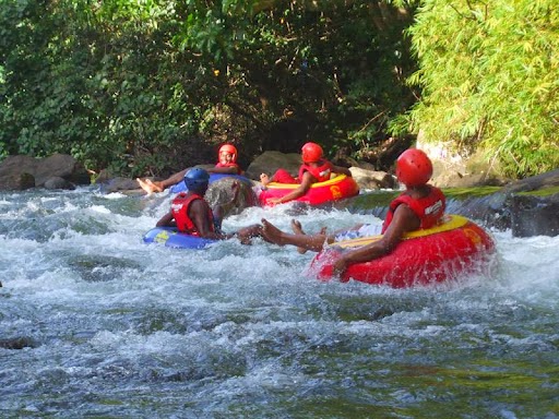 Photo 5 at SA Forest Adventures Hermanus in Hermanus