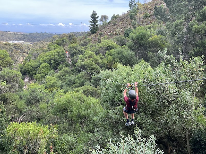 Photo 1 at SA Forest Adventures Hermanus in Hermanus