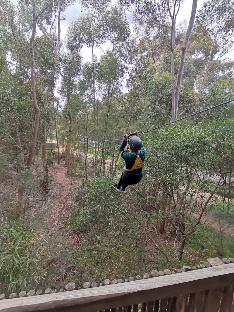 Photo 4 at SA Forest Adventures Hermanus in Hermanus