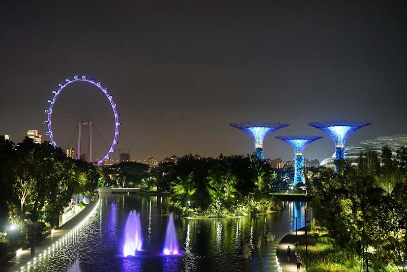 Photo 4 at Supertree Grove in Singapore