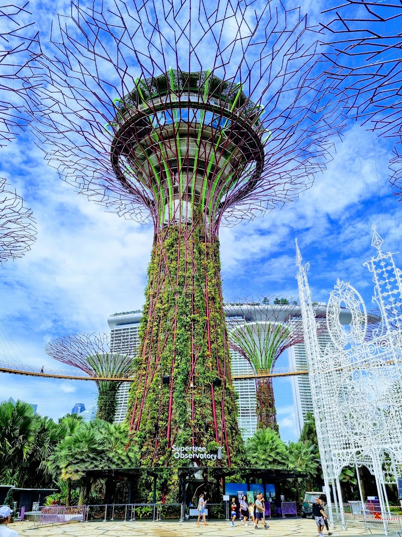 Supertree Grove in Singapore