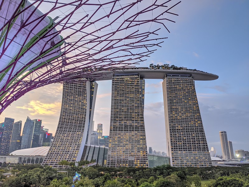 Photo 3 at Supertree Grove in Singapore