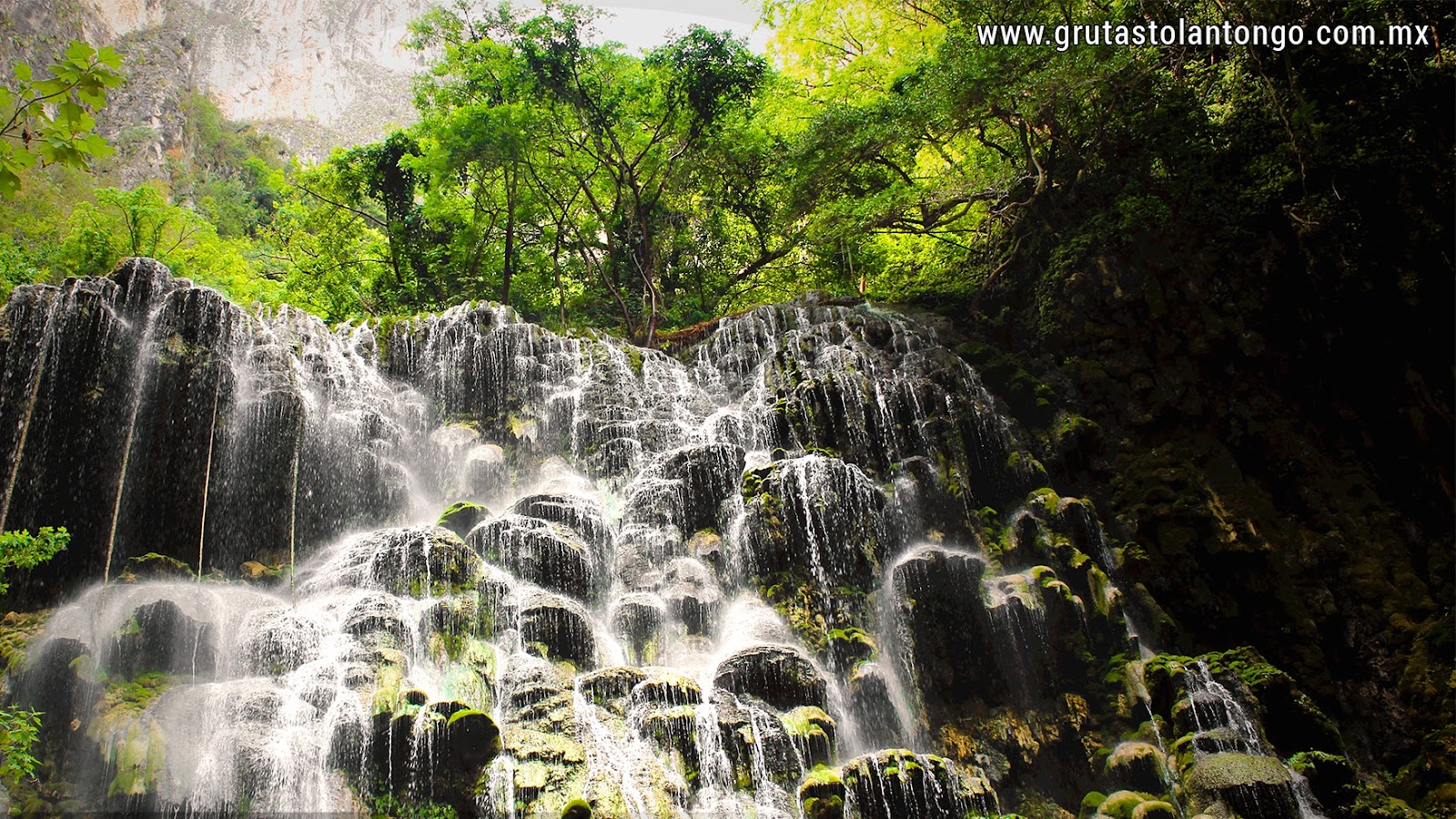 Grutas Tolantongo in Cardonal