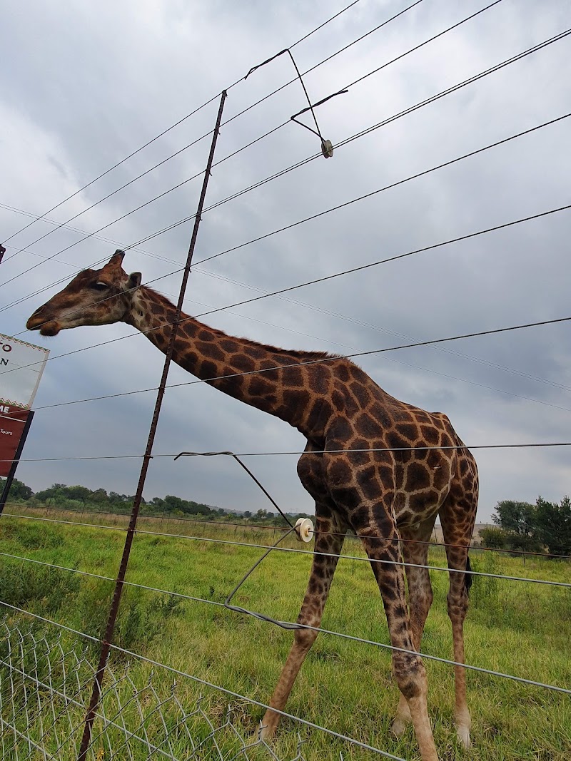 Photo 1 at Maropeng: Official Visitor Centre for the Cradle of Humankind World Heritage site in 