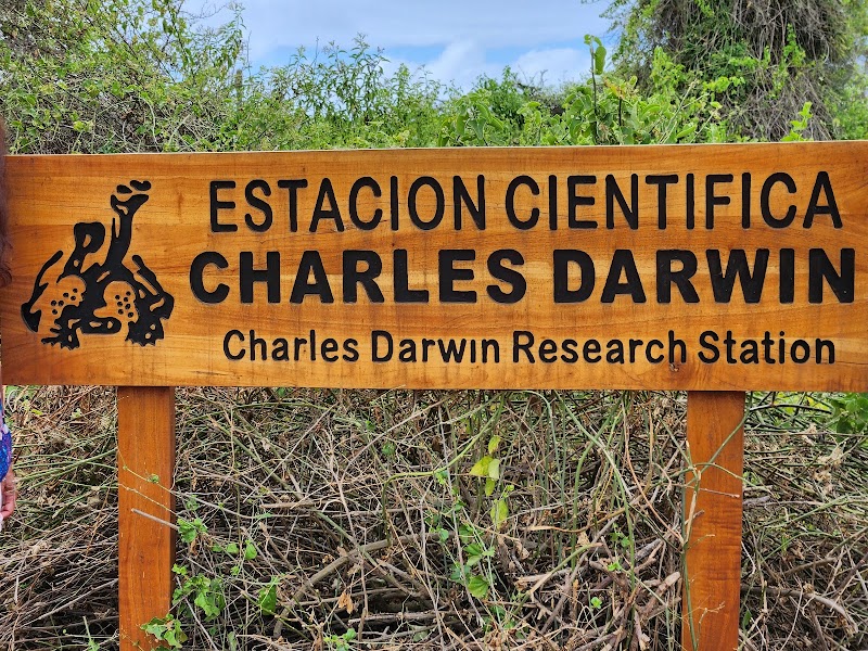 Photo 2 at Charles Darwin Research Station in Puerto Ayora