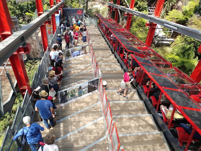 Photo 2 at Scenic World in Katoomba