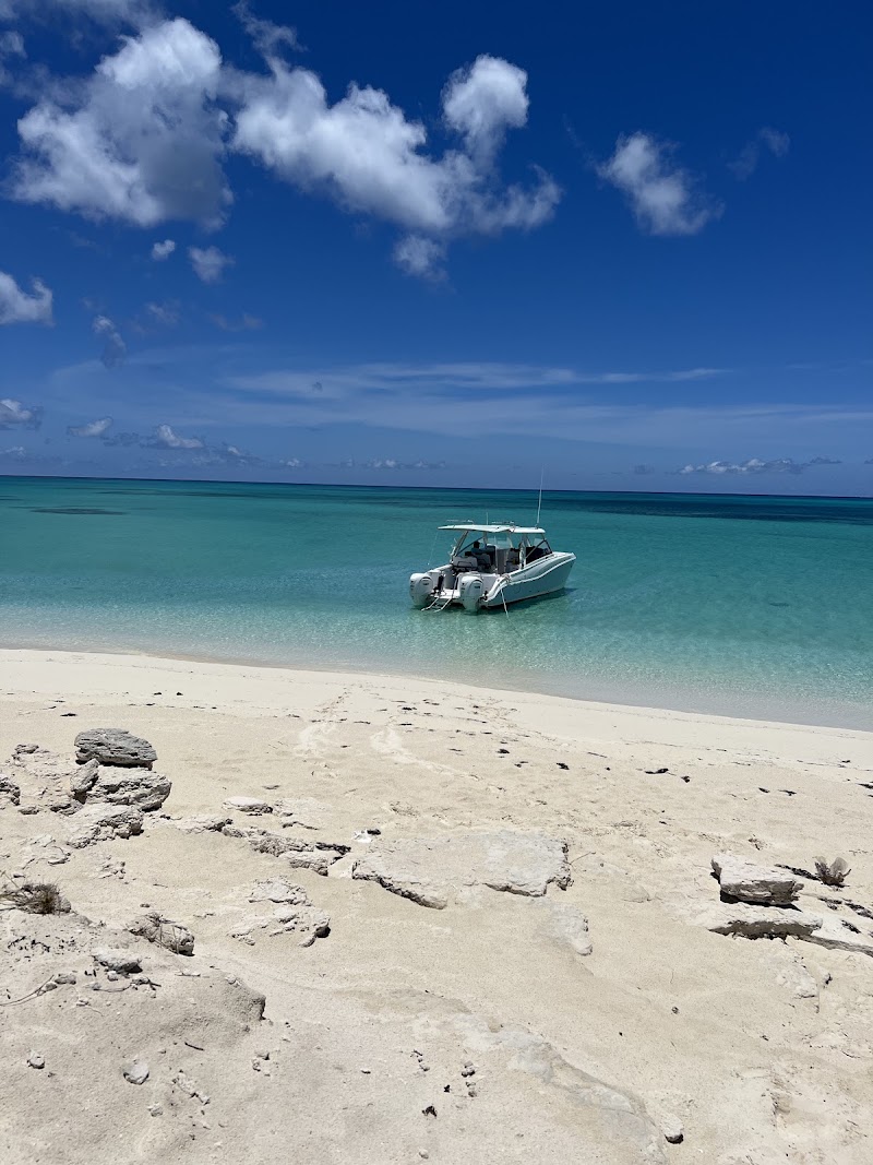 Photo 4 at Big Blue Collective in Leeward Settlement