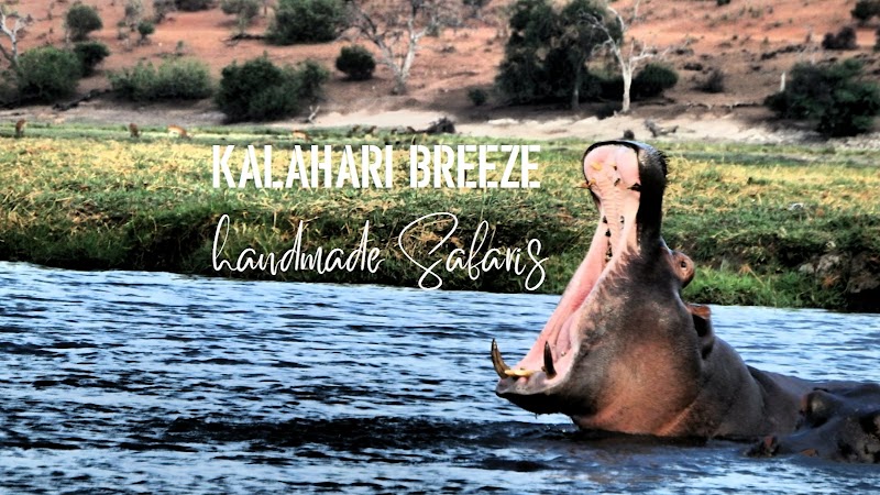 Kalahari Breeze Safaris in Maun