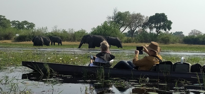 Photo 3 at Kalahari Breeze Safaris in Maun