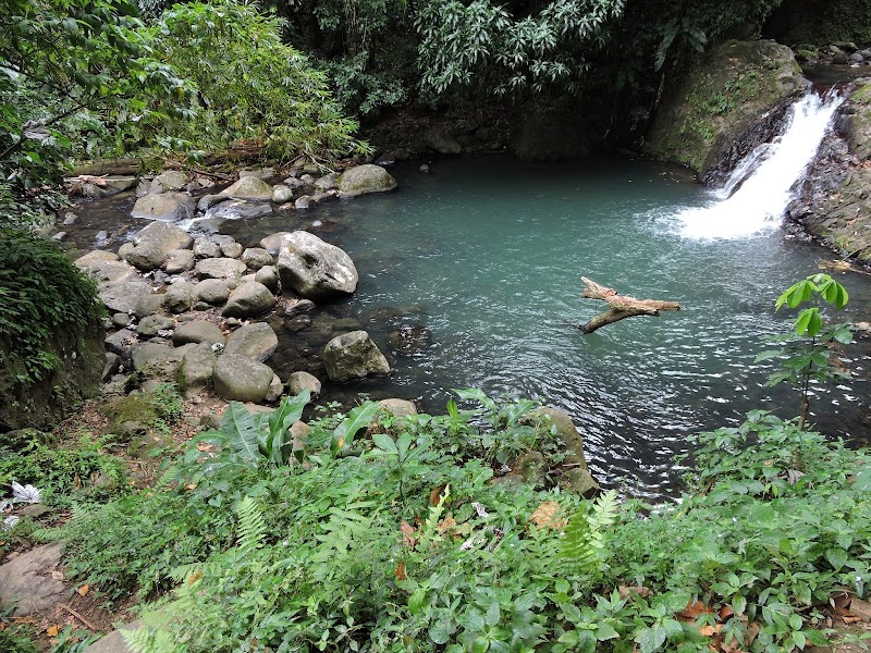 Photo 5 at Seven Sisters Waterfalls Grenada in St Andrew's