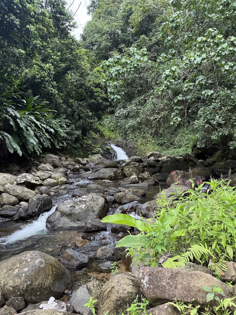 Photo 1 at Seven Sisters Waterfalls Grenada in St Andrew's