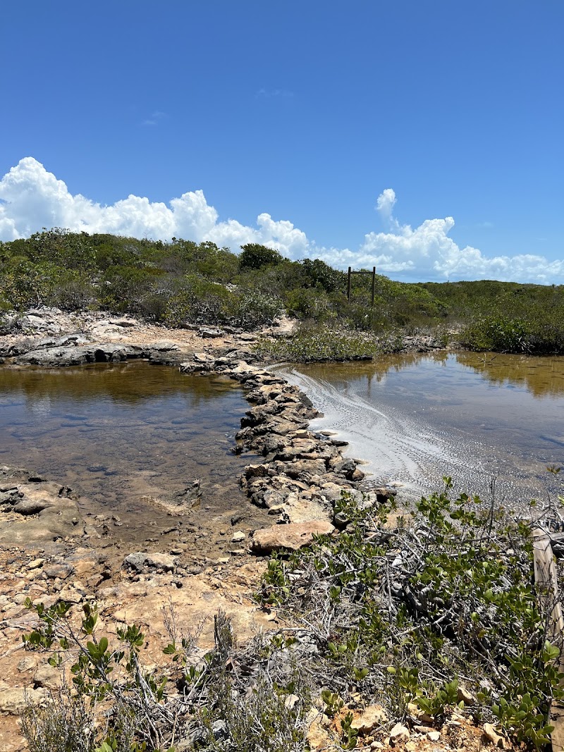 Bird Rock Trail in Leeward Settlement
